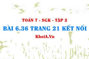 Bài 6.36 trang 21 Toán 7 Kết nối tri thức Tập 2